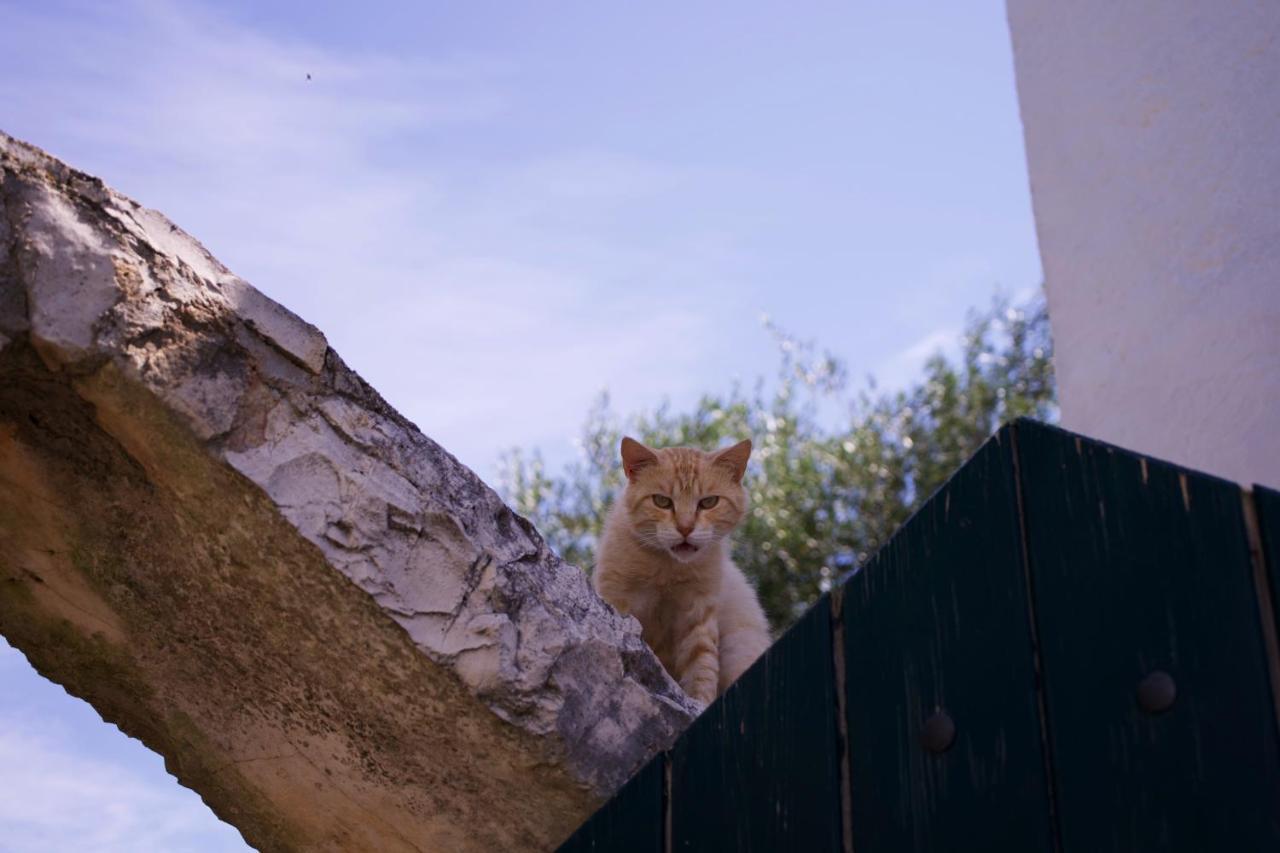 Minicasa Nella Natura, Con Piscina A Due Passi Ostuni Dış mekan fotoğraf