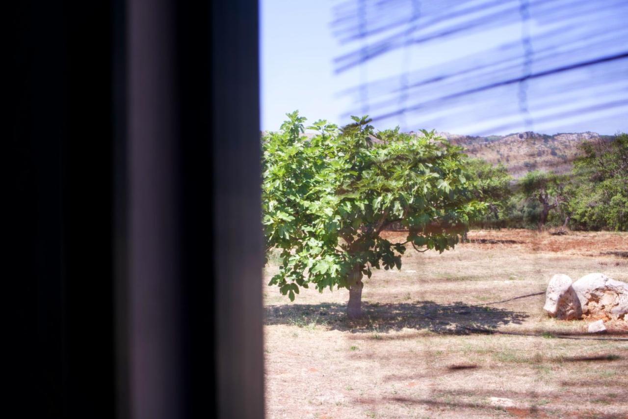 Minicasa Nella Natura, Con Piscina A Due Passi Ostuni Dış mekan fotoğraf