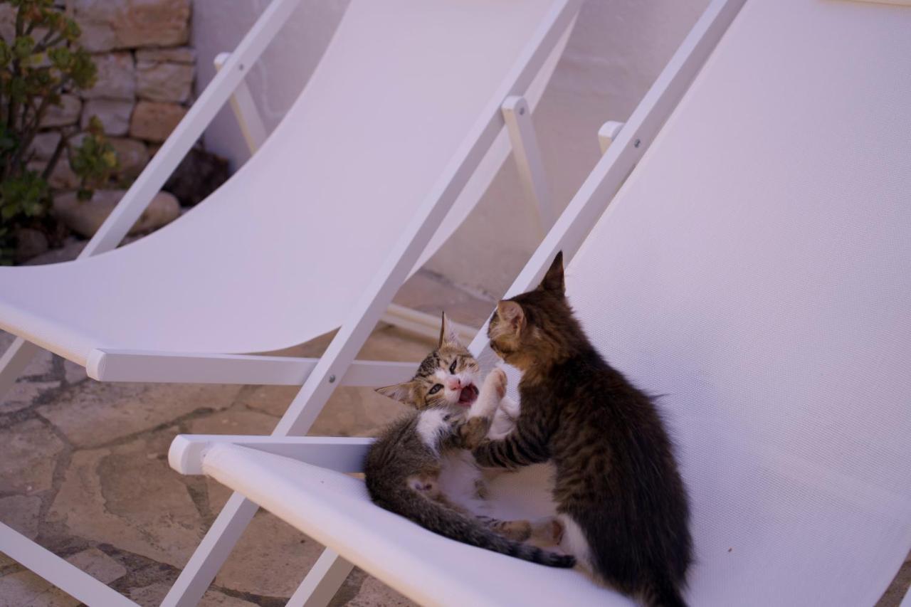 Minicasa Nella Natura, Con Piscina A Due Passi Ostuni Dış mekan fotoğraf